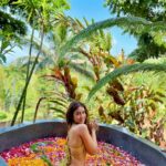Shobhita Rana Instagram - Living that Bali life 🛀🌴🌻🐛✨ @soendaram.spa #collab #balilife #flowerbath #indonesia #nature #bathtubgoals #magical #balilivin #explorebali #balitourism Bali, Indonesia