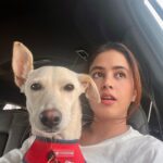 Shobhita Rana Instagram - Happy dog day to my girl @bunnytheindie thank you for coming into my life and making it so magical ✨💫💋❤️‍🩹 #happyinternationaldogday #adoptdontshop Dubai, United Arab Emirates
