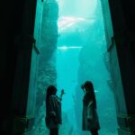 Sofya Plotnikova Instagram - somewhere under the ocean in @seaworldyasisland @yasisland ✨🌊🦈 Abu Dhabi, United Arab Emirates