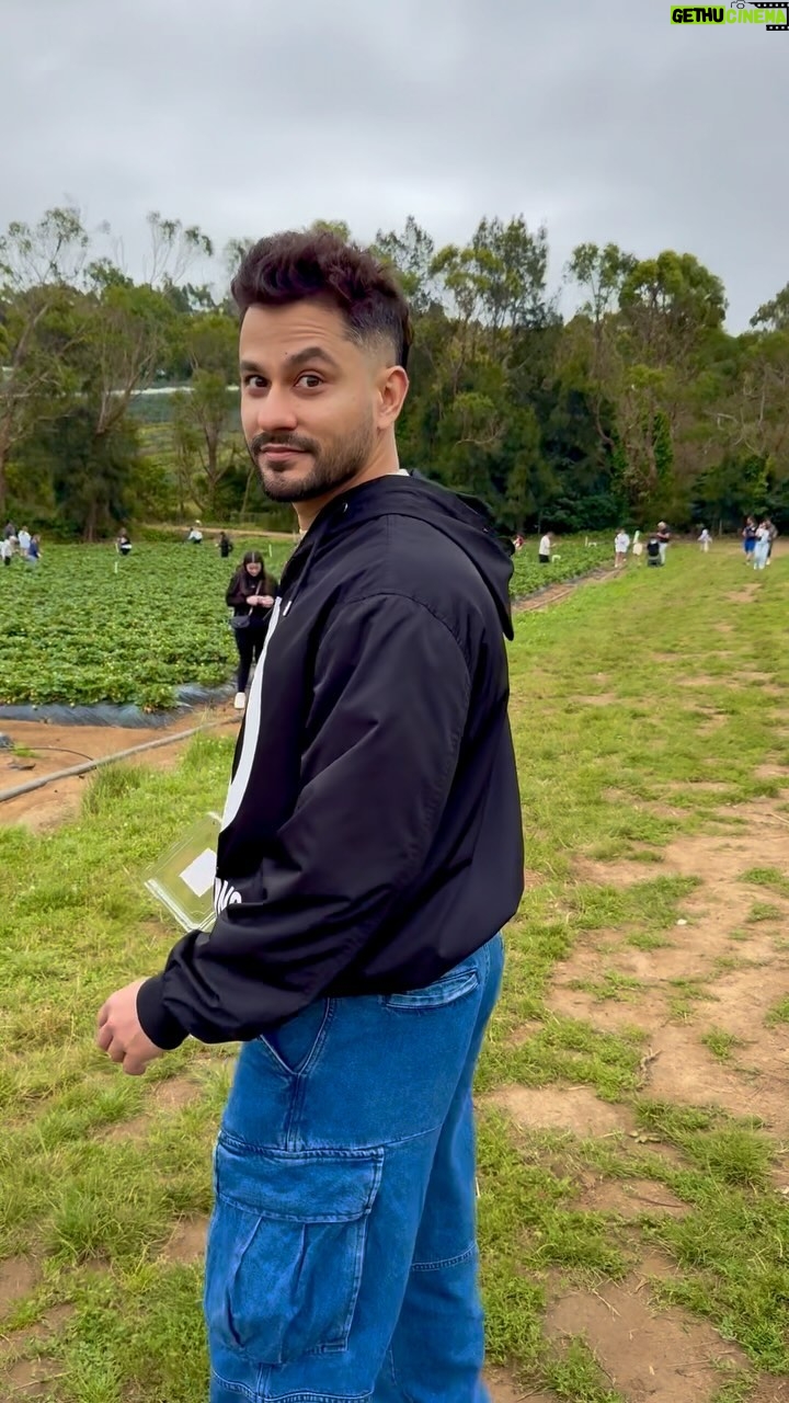 Soha Ali Khan Instagram - देसी बाबू 🙍🏽‍♂️ English मेम🙎‍♀️ Or just a confused guy🤷🏽‍♂️ #strawberry #strawberrypicking🍓 #farm #strawberryfarm #australia