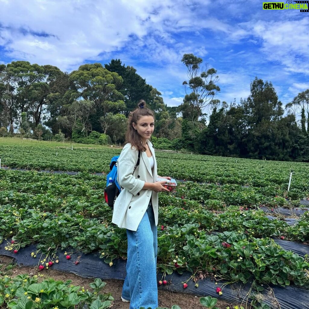 Soha Ali Khan Instagram - All in all a berry good day #berrypicking #strawberry #summer