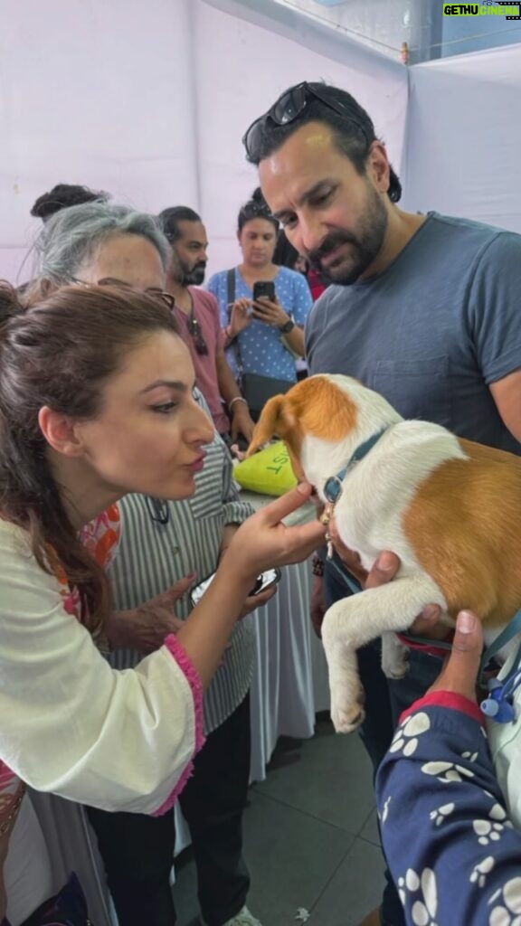 Soha Ali Khan Instagram - And the @worldforallanimaladoptions adoptathon is back and on right now!!! Over 200 rescued pups and kittens are be up for adoption! Event Details: -Dates – 9th and 10th December 2023 - Time: 11: 00 AM - 8:00 PM -Location - St. Theresa Boys High School, Bandra West, Mumbai 400050 -DM us or WhatsApp +91 9004257179 / +91 9969304595 Co Exist 🐾 . . . #worldforall #Adoptathon2023 #AdoptDontShop #AdoptionLove #ForeverFamily #AdoptionEvent #MumbaiEvent #NGOForAnimals #AnimalWelfare #Rescuedogs #Rescuecats #indianbreed #AdoptionLove #ForeverFamily #AdoptionEvent #MumbaiEvent #NGOForAnimals #AnimalWelfare