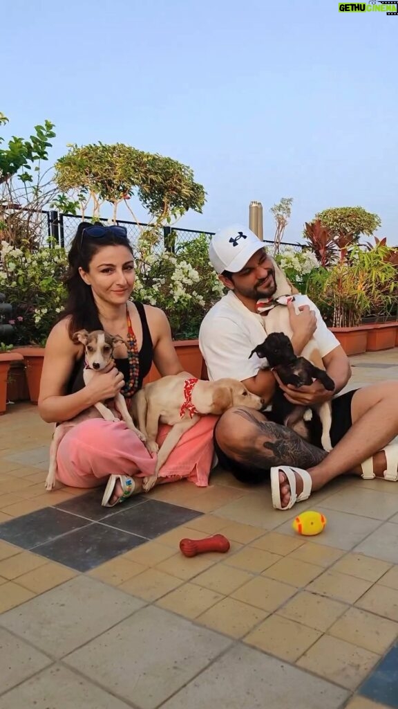 Soha Ali Khan Instagram - Mark your calenders for this weekend where over 200 rescued pups and kittens will be up for adoption! Event Details: -Dates – 9th and 10th December 2023 - Time: 11: 00 AM - 8:00 PM -Location - St. Theresa Boys High School, Bandra West, Mumbai 400050 -DM us or WhatsApp +91 9004257179 / +91 9969304595 Co Exist 🐾 . . . #worldforall #Adoptathon2023 #AdoptDontShop #AdoptionLove #ForeverFamily #AdoptionEvent #MumbaiEvent #NGOForAnimals #AnimalWelfare #Rescuedogs #Rescuecats #indianbreed #AdoptionLove #ForeverFamily #AdoptionEvent #MumbaiEvent #NGOForAnimals #AnimalWelfare