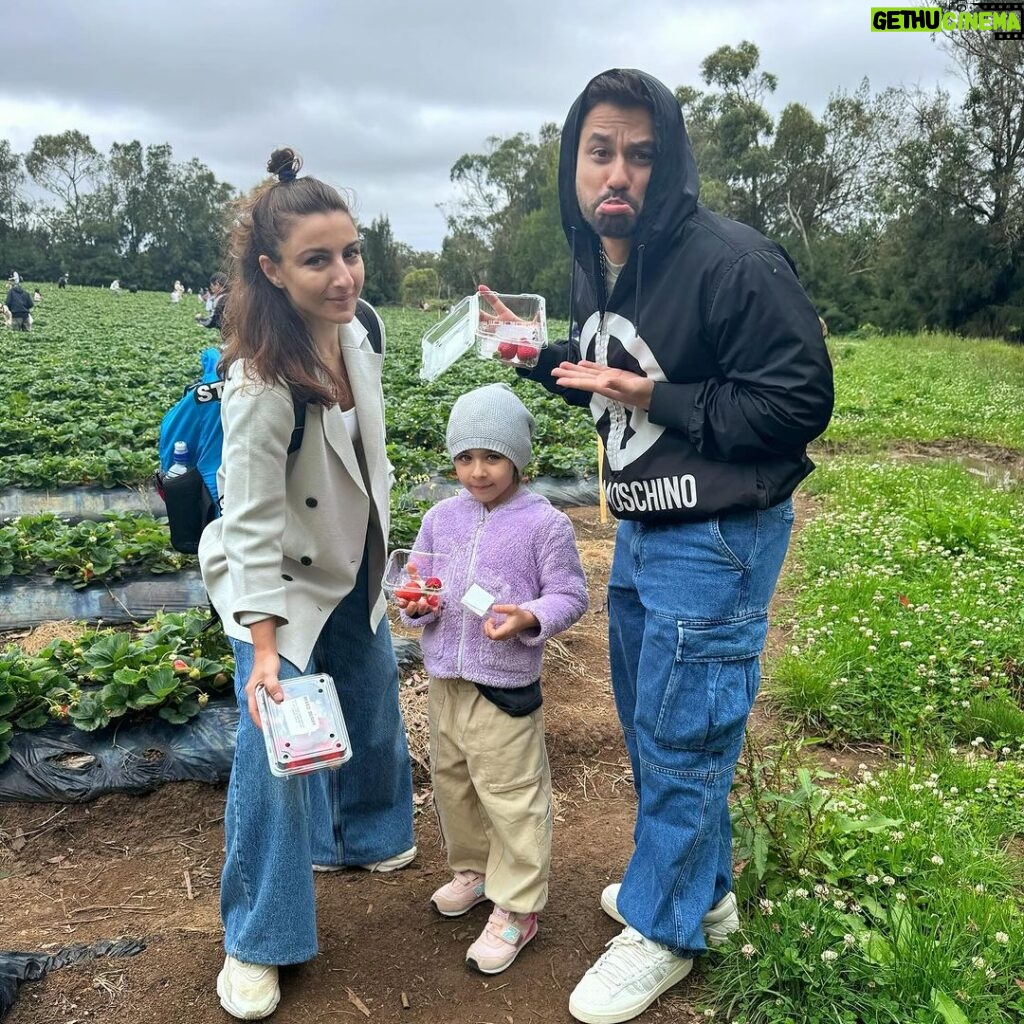 Soha Ali Khan Instagram - All in all a berry good day #berrypicking #strawberry #summer