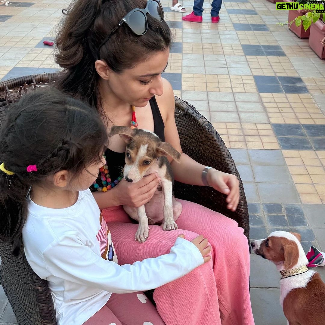 Soha Ali Khan Instagram - Saving one dog may not change the world, but the world will change for that one dog #adoptdontshop #adoptathon @worldforallanimaladoptions #comingsoon
