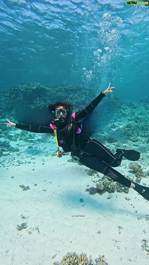 Sonakshi Sinha Instagram - I went diving in the Red Sea 🧜🏼‍♀!!! Someone told me Egypt is great for diving and boy were they right!! In my recent dives, a lot of the reefs ive seen have been bleached out because of climate change ☹ but this one was thriving and bursting with colors that made me so so happy!! Cool, clean and crystal clear water… it was surreal 🩵 Dive #23 Location: Hurghada, Egypt. Temperature: 20*C Depth: 12 m Visibility: excellent @paditv @goproindia #sonastravels #scubadiving #mermaidlife #openwaterdiver