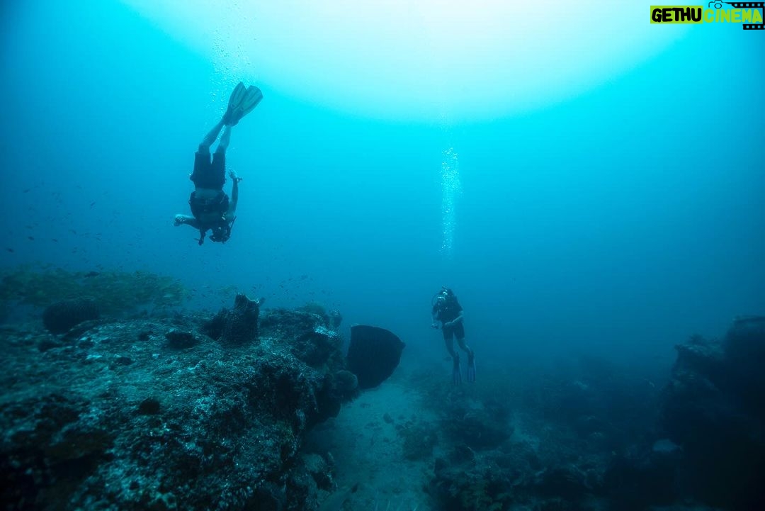 Sonakshi Sinha Instagram - Say hello to @paditv’s newest Ambassadivers!!! Our love for the ocean took us to the beautiful #Andaman islands to do our Advance Open Water course and with the help of an amazing team - @titikshx from @lacadives, Sumer @luminousdeep and @tanvigautama we are now certified ✅ As Ambassadivers our mission is to introduce more people to the ocean and its preservation all while discovering new depths ourselves! Legggggooooo 🐠 #scubadiving #divebuddies #advanceopenwater Havelock Island, Andaman and Nicobar Islands
