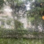 Sonia Abrão Instagram – Almocinho ao som da chuva! Amo muito tudo isso! ☔️🥰 Tá valendo, domingão! 🤗