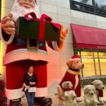 Sonia Abrão Instagram - Tentando levantar o astral neste Natal!!! Adoro decoração gigante! 🥰🎅🏻🎄Feliz Natal a todos! 🙏❤️
