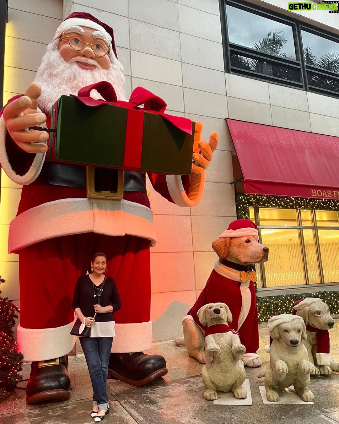 Sonia Abrão Instagram - Tentando levantar o astral neste Natal!!! Adoro decoração gigante! 🥰🎅🏻🎄Feliz Natal a todos! 🙏❤️