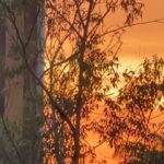 Sonia Abrão Instagram – SEXTOU! Bom dia! Não tô acreditando em tanta beleza nessa manhã!!! 😱 Deus sempre inspirado! 🙏😍 Outono em Sampa! Sem filtro! 🥰🥰🍁🍂🍁🍂🍁🍁🍁