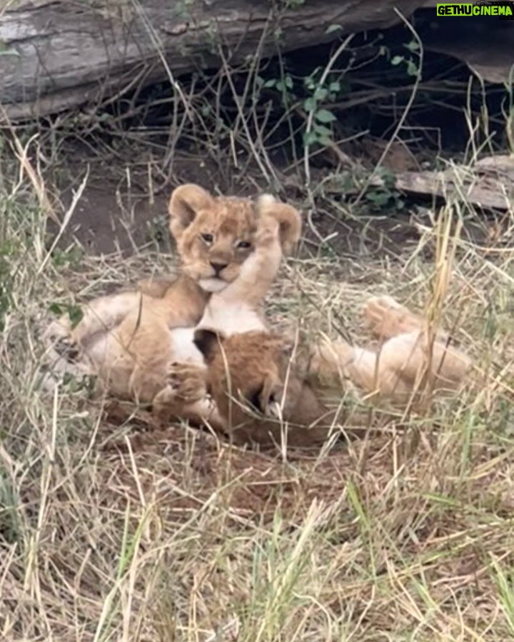 Suki Waterhouse Instagram - Serengeti ❤️