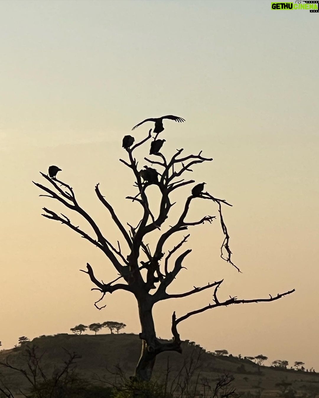 Suki Waterhouse Instagram - Serengeti ❤️
