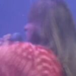 Suki Waterhouse Instagram - My first ROO! Thank you so much for being with me last night. So much love @bonnaroo ❤️❤️❤️ photos: @dusana @worldfamousmuriel vids @worldfamousmuriel Bonaroo