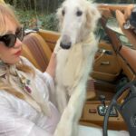 Suki Waterhouse Instagram - for everyone wondering why I’m always late…