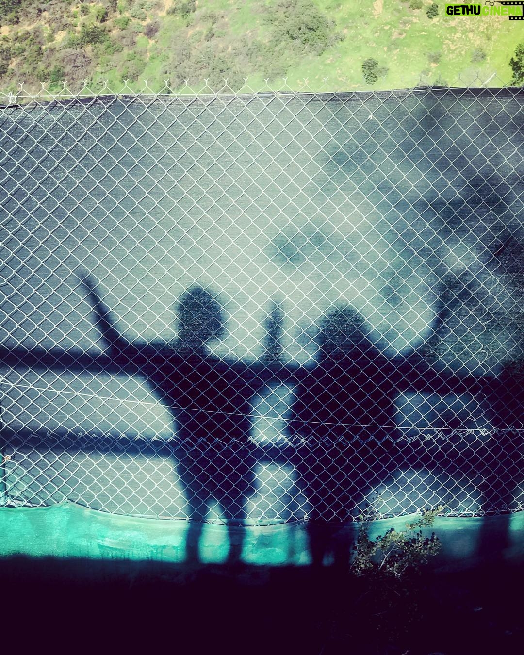 Taissa Farmiga Instagram - Three arms up for mondays that are really sundays 🌴 Mulholland Drive