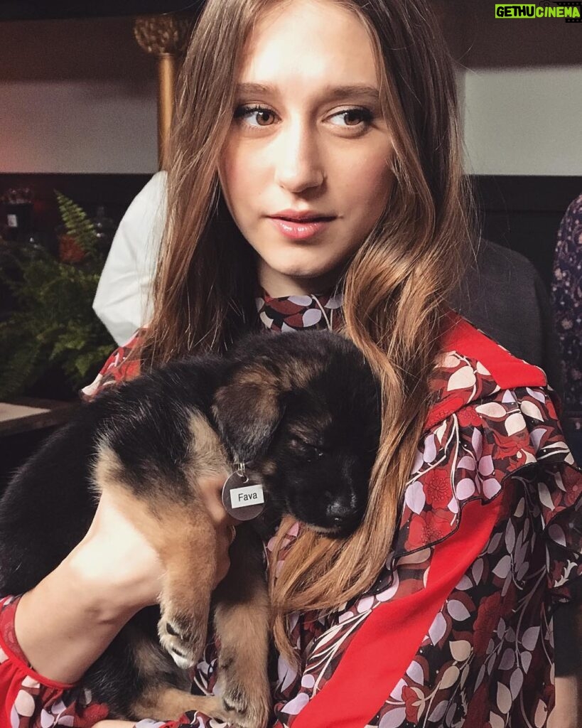 Taissa Farmiga Instagram - Puppies for promotion, #tiff2018 does it right! Happy to support @whattheyhad movie, but pups and cuddles are the right kind of encouragement 🐶💕 #favabean #sixweeksold #rescuepup #adoptdontshop #WhatTheyHad Toronto, Ontario