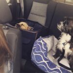 Taissa Farmiga Instagram - 2018’ing it up. #sofarsogood