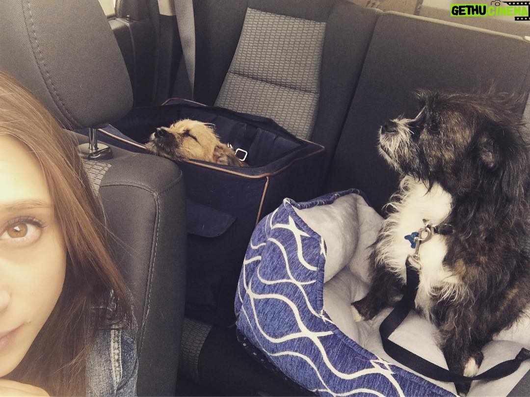 Taissa Farmiga Instagram - 2018’ing it up. #sofarsogood