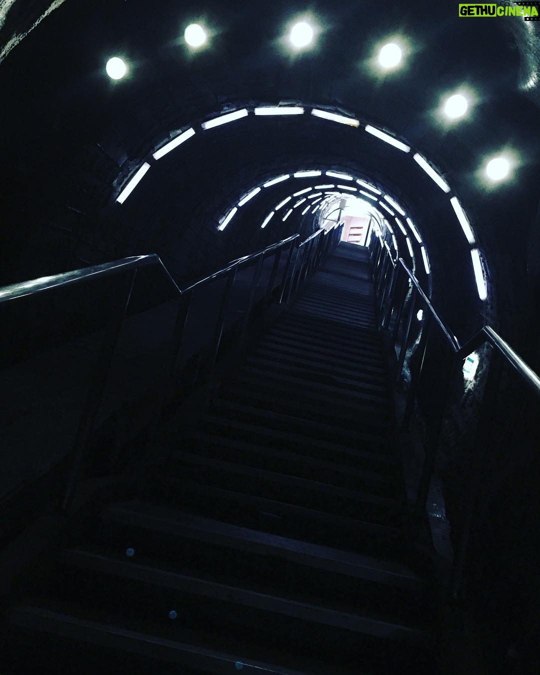 Taissa Farmiga Instagram - Oh, where Tuesdays will take you. Follow the lights and see what you will find. #salinaturda #🇹🇩adventures