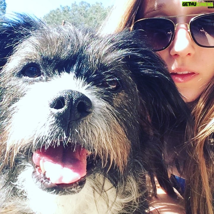 Taissa Farmiga Instagram - The faces of a successful premiere!