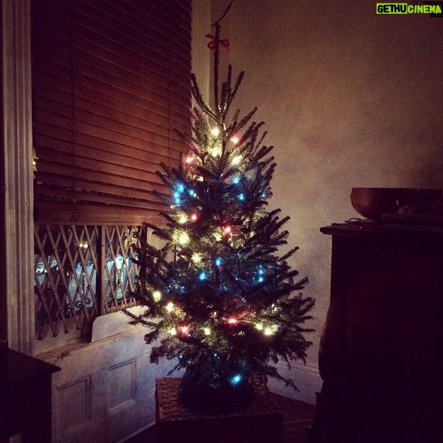 Taissa Farmiga Instagram - the little hipster christmas tree.