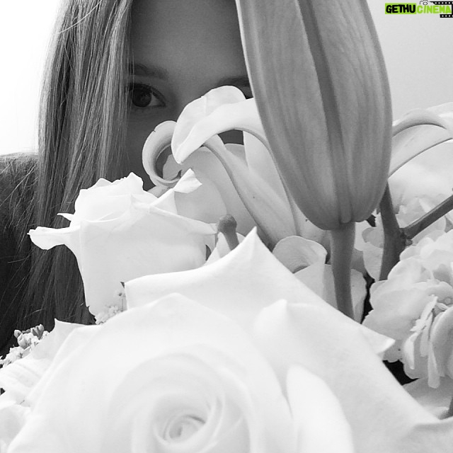 Taissa Farmiga Instagram - Who sent me flowers 🌹