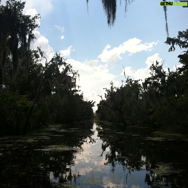 Taissa Farmiga Instagram - #airboat #swamptour
