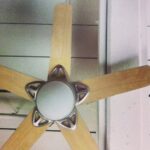 Taissa Farmiga Instagram - What's on your ceiling? #starfish