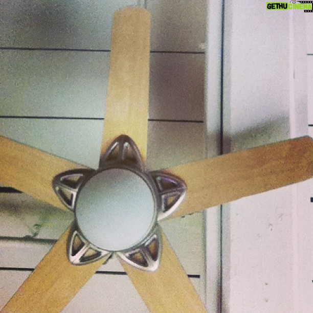 Taissa Farmiga Instagram - What's on your ceiling? #starfish