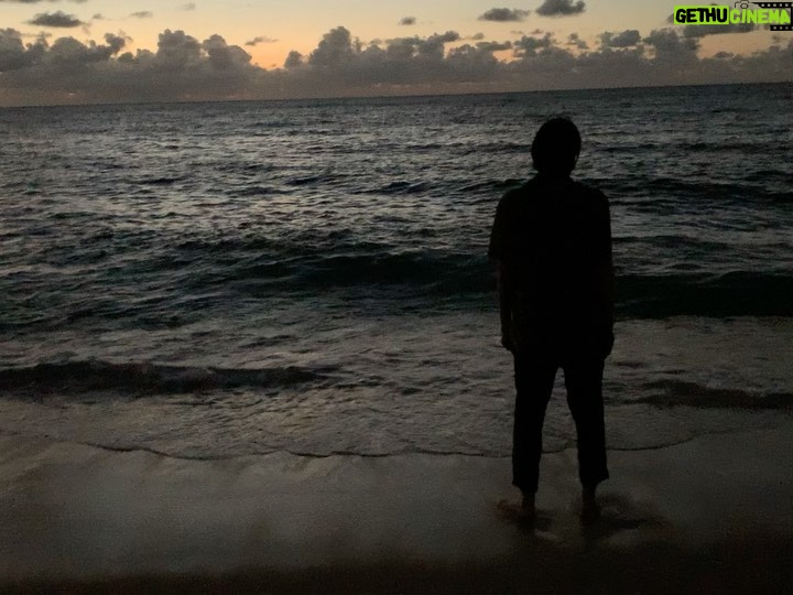 Taissa Farmiga Instagram - 🥥 hawaiian adventures 🥥 Hawaii