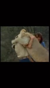 Taryn Manning Instagram - Love knows no limits. This is dedicated to @radiogirlla @psrecordingstudios. Leanne and Kid, I am so sorry for the loss of your beloved cat of almost 20 years. #michaelangelo He was beautiful and looked like a baby kitty. What wonderful loving, amazing parents you were. He lived such a long, beautiful life because of you both 🥹#animallovers #rainbowbridge #catlover #friendsforever 😇🩷 Palm Springs, California