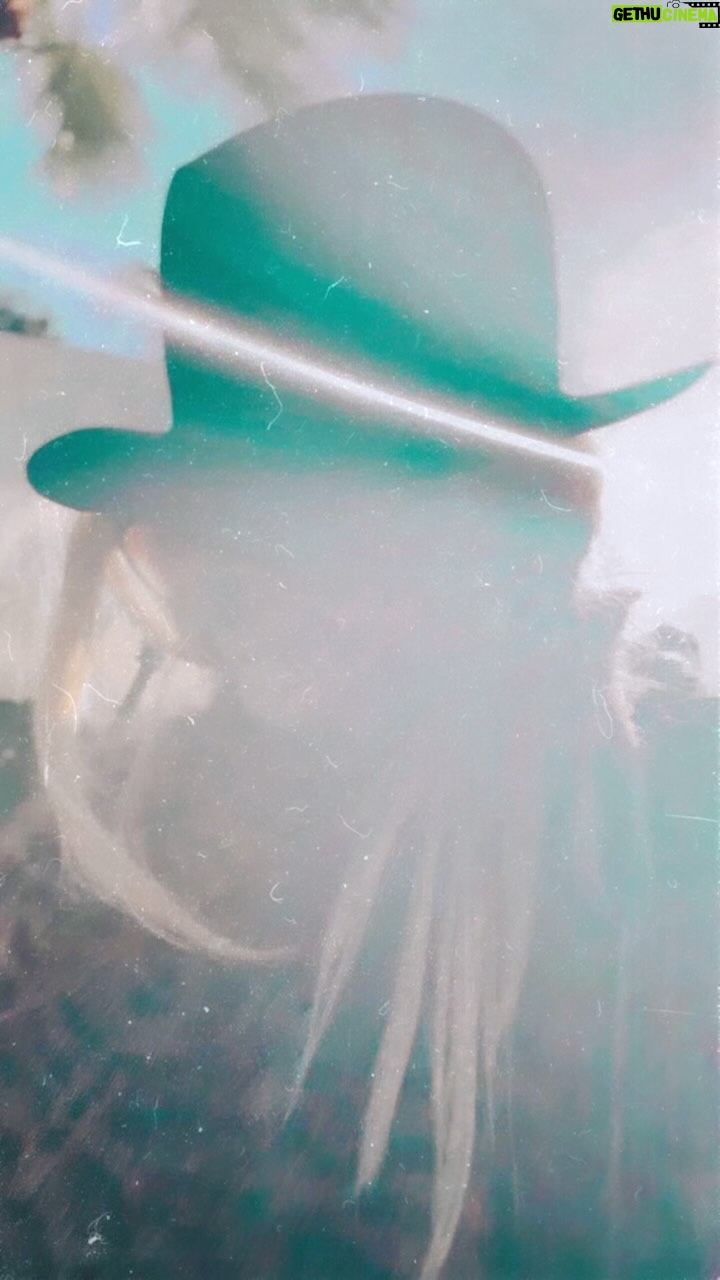 Taryn Manning Instagram - Gorgeous day. Saved 2 #bees maybe even three on my way to the studio now. Just want to say yes! It’s time! 😁 oh and I’m restricted of IG. So you get a break. Yay for you. Hehe