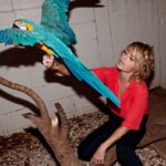 Taryn Manning Instagram - Beautiful birds #parrots #cockatoo 🦜🌴🦩some even outlive us 🥹