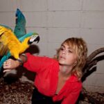 Taryn Manning Instagram - Beautiful birds #parrots #cockatoo 🦜🌴🦩some even outlive us 🥹