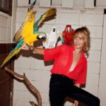 Taryn Manning Instagram - Beautiful birds #parrots #cockatoo 🦜🌴🦩some even outlive us 🥹