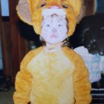 Taylor Tomlinson Instagram - In case anyone needs last minute costume ideas