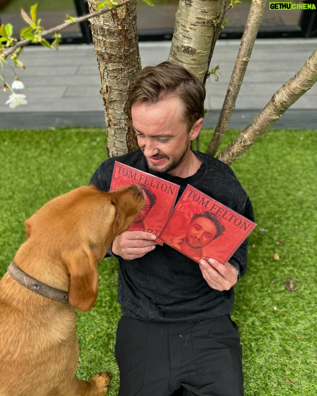 Tom Felton Instagram - New Merchandise available at https://tomfelton.shop including limited edition signed vinyls of my new EP ReD. Link in bio. Willow & Forrest already have their orders in! ❤️