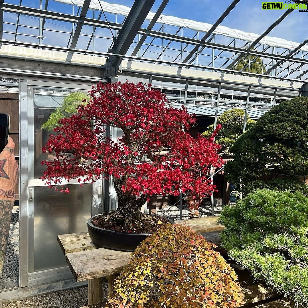 Tommy Lee Instagram - Repost from @robertpressler • Shinji Suzuki’sBonsai Museum Part2 #bonsaiperfection #incrediblejourney #bonsaiart