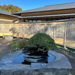 Tommy Lee Instagram - Repost from @robertpressler • Omiya Bonsai Musuem #rockingbonsai#japan#bonsaiart#incrediblejourney #lovebonsai#bonsaibp