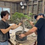 Tommy Lee Instagram - Grasshoppers 1st Bonsai 🎋 work in progress….