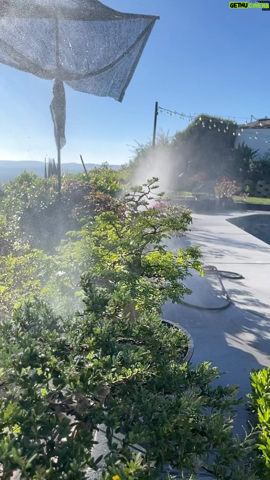 Tommy Lee Instagram - Can you hear the trees scream thank you Mister Lee @ 💯 degrees 🚿 8:45am