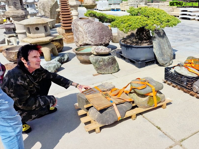 Tommy Lee - 21.8K Likes - Repost from @yokosojapanesegardens
•
Last year we have had the pleasure to welcome world-famous rockstar Tommy Lee of Mötley Crüe to our company in the Netherlands. Many people are not aware that Tommy has taken a great interest in Japanese culture, Bonsai and landscaping in particular, and that he is currently building an amazing Japanese garden at his home in Los Angeles. For this project he was looking for the most authentic elements from Japan such as stone lanterns and pagodas, which brought him to us. During the day, we advised him and his team on the most suitable pieces and items for the project, and we were rewarded with great appreciation and enthusiasm. After we made the most optimal selection, we carefully packed everything, and a full shipping container departed for Los Angeles.

The fact that people from all over the world and from all walks of life visit our small country for our unique collection and expertise on Japanese landscaping and architecture is something that we are very proud of.

We have recently been in contact with Tommy again, who told us that the Japanese garden project is progressing nicely. Once everything is fully installed, he will send us pictures for all of our supporters to see. We can hardly wait and hope you are all just as excited as we are.

@tommylee Thank you once again for your kindness and support.

www.yokosojapanesegardens.com 

#TommyLee #MötleyCrüe #JapaneseGarden #JapaneseGardens #JapaneseLandscaping #JapaneseLandscape #JapaneseArchitecture #JapaneseWoodwork #JapaneseWoodworking #JapaneseArt #Landscaping #LandscapeArchitecture #ProfessionalLandscaping #TraditionalLandscaping #TraditionalGarden #TraditionalGardens #TraditionalArchitecture #TraditionalWoodwork #TraditionalArt #Gardens #Gardening #Woodwork #Woodworking #WoodworkArchitecture #Yokoso #Sukiyado #JapaneseGardensEurope #YokosoJapaneseGardens