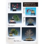 Tommy Lee Instagram - Repost from @kinbon.bonsai • 近代盆栽2024年3月号 (2月2日発売) 今月の表紙 #錦木 #nishikigi Special Thanks @tommylee @makikokoba さんによる モトリー・クルーの伝説的最高ドラマー、トミー・リーさんの2週間に渡る日本盆栽ツアーの特集記事(8ページ収録)、必見です。 #tommylee #トミーリー #motleycrue #近代盆栽 #近代出版 #盆栽 #水石 #雑誌 #皐月 #山野草 #植物 #盆栽鉢  #kinbon #bonsai #bonsaimagazine #plant #kyoto #japan