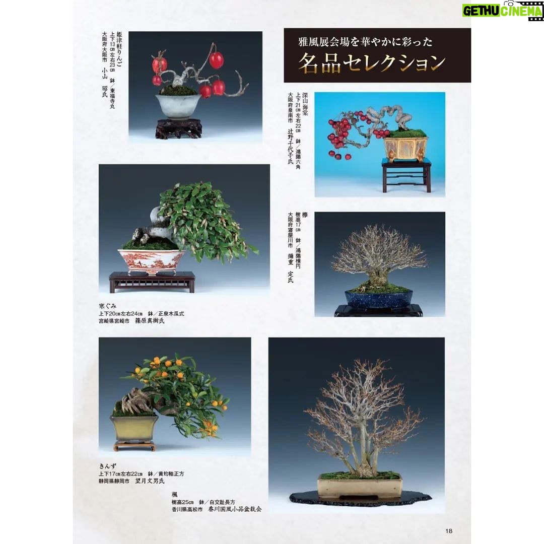 Tommy Lee Instagram - Repost from @kinbon.bonsai • 近代盆栽2024年3月号 (2月2日発売) 今月の表紙 #錦木 #nishikigi Special Thanks @tommylee @makikokoba さんによる モトリー・クルーの伝説的最高ドラマー、トミー・リーさんの2週間に渡る日本盆栽ツアーの特集記事(8ページ収録)、必見です。 #tommylee #トミーリー #motleycrue #近代盆栽 #近代出版 #盆栽 #水石 #雑誌 #皐月 #山野草 #植物 #盆栽鉢 #kinbon #bonsai #bonsaimagazine #plant #kyoto #japan