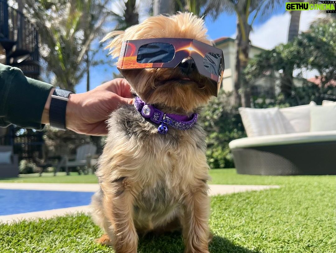 Tony Robbins Instagram - The whole family got in on today’s solar eclipse! 🐶🌞🌒 We were blessed to be in the path of totality back in 2017 — hopefully you all keep your eyes covered and didn’t try to sneak a peek like my always mischievous wife! 🤣 Let’s share in this moment of cosmic awe — who else was skywatching today? 🕶️