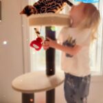 Tori Spelling Instagram - Our hearts are broken 💔… - I didn’t want to have to share this on social media. But, since December 27, 2022 our beloved fur son cat BEAN has been missing. Our baby is an indoor only cat. Someone new came to work that day and by accident let him out. We’ve searched day and night. We’ve posted in our neighborhood and we’ve reached out to rescue groups and shelters across California. No sighting of Bean. We are praying someone saw a beautiful lost Bengal and took him in . If you did we are grateful. But, his family is missing him beyond words! 😭😭😭😭😭😭😭. My 14 year old daughter @stella_mcdermott08 is Bean’s human. I’ve publicly shared her bullying journey. She’s overcome many obstacles but not without severe anxiety. She still gets bad panic attacks. The beautiful thing is BEAN could predict when she was going to have a panic attack. He would climb onto her chest and “knead biscuits”. Their love is so amazing. Bean loves to goto each of the kids rooms and cuddle beside them while they sleep. He gives unconditional love. We love him so insanely much. PLEASE my children are heartbroken 💔 😭. No questions asked. We just want our boy back. Our family is not complete without him. Bean is microchipped. Please share this post! Please help #bringbeanhome #bengals @mrbeanthebengal @seneeblue.rescuedoodle Hidden Hills, California