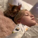 Tori Spelling Instagram - Our hearts are broken 💔… - I didn’t want to have to share this on social media. But, since December 27, 2022 our beloved fur son cat BEAN has been missing. Our baby is an indoor only cat. Someone new came to work that day and by accident let him out. We’ve searched day and night. We’ve posted in our neighborhood and we’ve reached out to rescue groups and shelters across California. No sighting of Bean. We are praying someone saw a beautiful lost Bengal and took him in . If you did we are grateful. But, his family is missing him beyond words! 😭😭😭😭😭😭😭. My 14 year old daughter @stella_mcdermott08 is Bean’s human. I’ve publicly shared her bullying journey. She’s overcome many obstacles but not without severe anxiety. She still gets bad panic attacks. The beautiful thing is BEAN could predict when she was going to have a panic attack. He would climb onto her chest and “knead biscuits”. Their love is so amazing. Bean loves to goto each of the kids rooms and cuddle beside them while they sleep. He gives unconditional love. We love him so insanely much. PLEASE my children are heartbroken 💔 😭. No questions asked. We just want our boy back. Our family is not complete without him. Bean is microchipped. Please share this post! Please help #bringbeanhome #bengals @mrbeanthebengal @seneeblue.rescuedoodle Hidden Hills, California