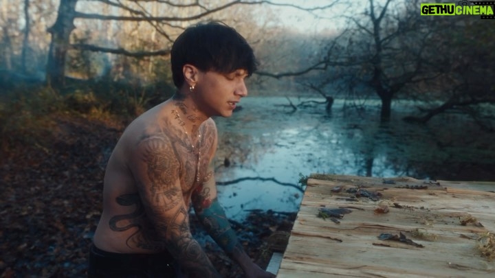 Ultimo - 265.7K Likes - Alba è fuori ovunque 🌅