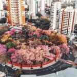 Vanessa da Mata Instagram - 🌳 Passarinhos, queria propor a vocês uma grande ação de arborização urbana em cidades que estão sem árvores. Tive essa ideia neste fim de semana, em Boa Vista(RR), que tem ruas imensas, com planos lindos, projetadas para organização urbanística perfeita, mas tem muito poucas árvores.  Há pouco tempo um grande amigo começou essa campanha em Cuiabá (MT) e plantaram muitas árvores lá. Há 12 anos eu levei 80 pés de ipês para a minha cidade Alto Garças (MT). Eles agora estão floridos e a cidade está linda com eles! A arborização urbana é muito importante na melhoria da qualidade de vida da população e do meio ambiente, além da melhoria climática, cujos estudos dizem que reduz até 10° na temperatura.   Os benefícios são inúmeros: trazem o frescor do oxigênio, sombra, absorvem a radiação solar, amenizam o calor, filtram as partículas que poluem o ar, servem de abrigo e alimento para animais, além de trazerem cores com as flores, as folhas e os troncos. Outro benefício é a educação ambiental da população, que aprende sobre o meio ambiente ao notar a clara diferença entre as áreas arborizadas e as áreas construídas. Estudos mostram que residentes de áreas urbanas que vivem perto de vegetação, possuem benefícios para a saúde, especialmente a mental. Ajudam as pessoas a viverem mais tempo, terem melhores funções cognitivas e maior paz de espírito. A arborização urbana não deve ser feita de forma aleatória, é preciso atender às questões técnicas na parte urbanística. Escolher árvores que fazem parte da flora da cidade, que não vão afetar a fiação dos postes, aprofundar com suas raízes, romper canteiros e asfalto, causar problema para a população e nem para o setor elétrico ou qualquer outra parte urbanizada. Vamos nos unir nessa ação? Coloquem nos comentários as cidades/UF de vocês e se organizem em grupos aqui, para atuarem como voluntários nesta ação, junto às prefeituras e órgãos responsáveis de suas cidades. 🌳Vamos trazer vida e frescor para as cidades! Fotos: ilustrativas de diferentes cidades #VanessadaMata #EquipeVDM